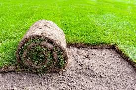 natural grass
artificial grass

